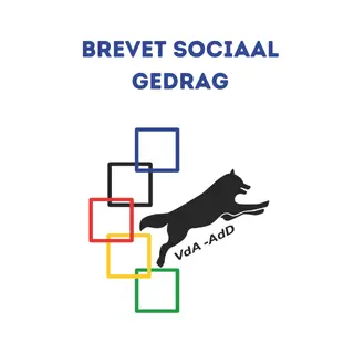 Brevet sociaal gedrag