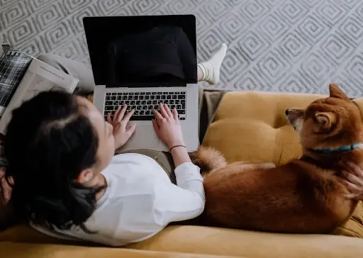 Opleiding Hondengeleider